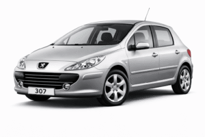 Peugeot 307 underbody protection